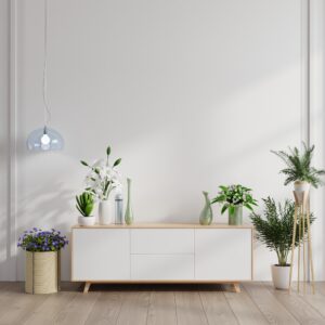  cabinet in interior